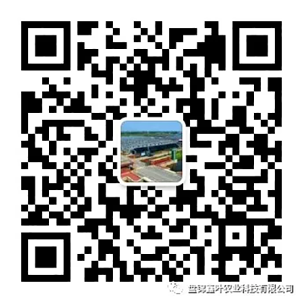 付忠伟调研鑫叶农业科技有限公司复工复产、春耕备耕和疫情防控工作