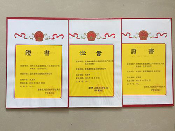 公司简介