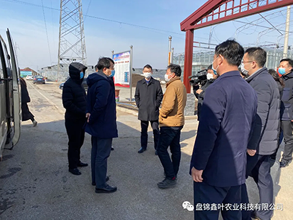 付忠伟调研鑫叶农业科技有限公司复工复产、春耕备耕和疫情防控工作