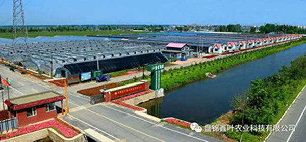付忠伟调研鑫叶农业科技有限公司复工复产、春耕备耕和疫情防控工作