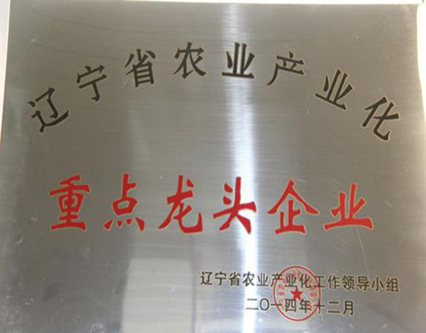 公司简介