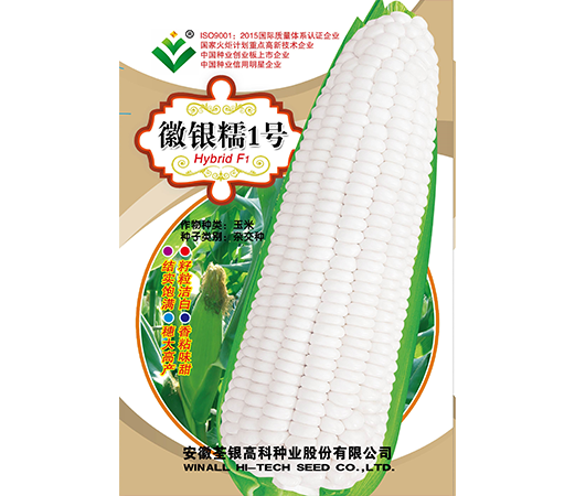 徽銀糯1號(hào)