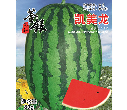 凱美龍 凱美龍