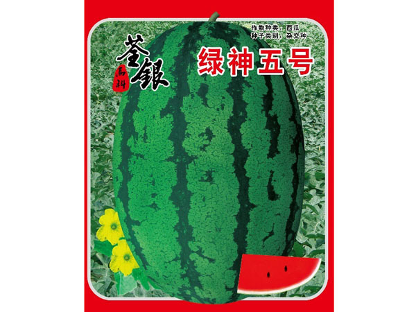 綠神五號(hào) 綠神五號(hào)