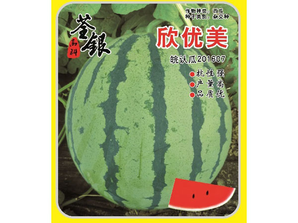 欣優(yōu)美 欣優(yōu)美