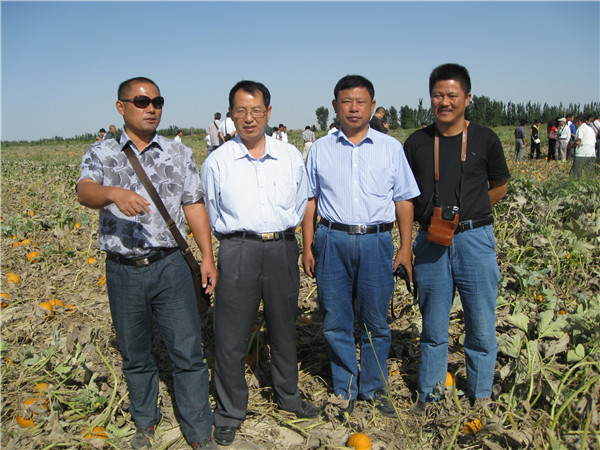 中國園藝學(xué)會南瓜研究分會專家考察南瓜基地