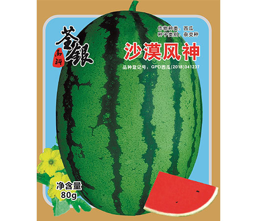 沙漠風(fēng)神 沙漠風(fēng)神