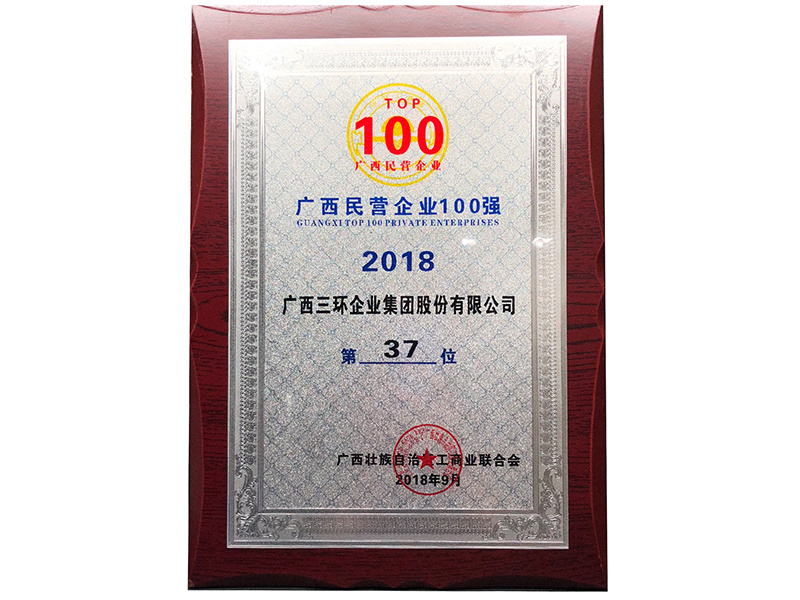 广西民营企业制造业100强(第37位)