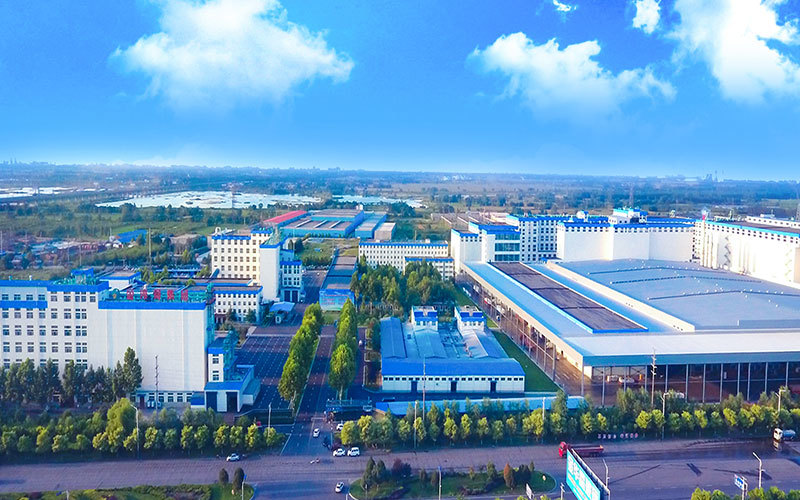 Hebei Jinshahe Noodle Industry Group Co., Ltd.