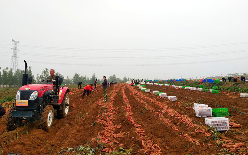 Hebei Hongshuling Agricultural Development Co., Ltd.