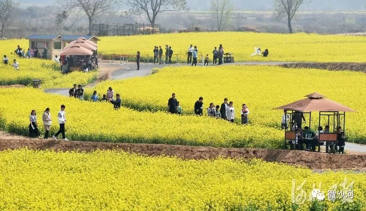 Proud! The Hongshuling Project Featured in Central-Level Media and Other Promotions
