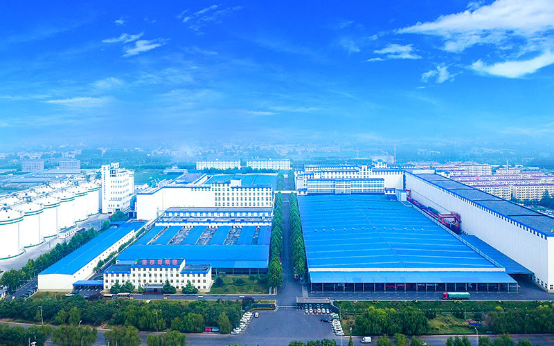Xingtai Jinshahe Noodle Industry Co., Ltd.
