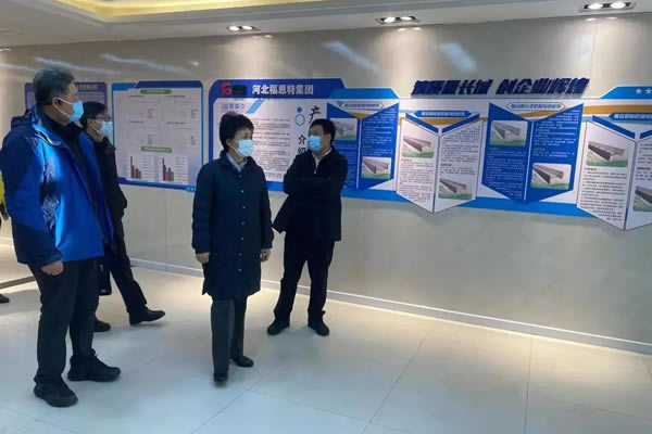 欢迎秦皇岛市委副书记张淑云一行莅临福恩特调研检查 欢迎秦皇岛市委副书记张淑云一行莅临福恩特调研检查
