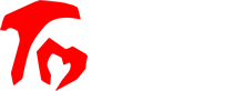 河北福恩特电气设备集团有限公司