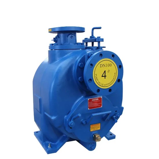 High Suction 380V/50Hz/3phase Electric Motor 40HP Slurry Pump