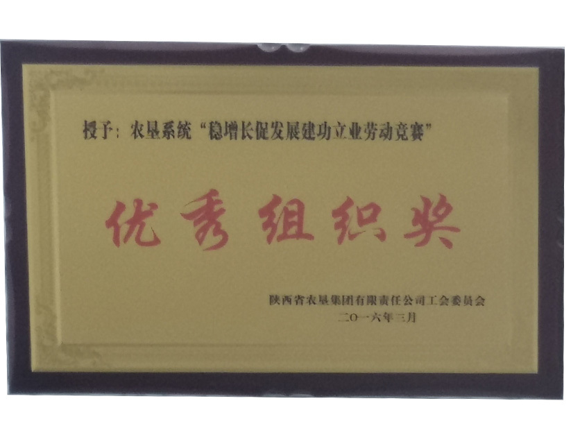 优秀组织奖