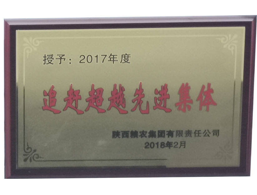 追赶超越先进集体