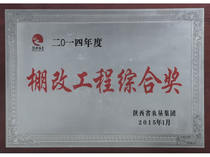 棚改工程综合奖