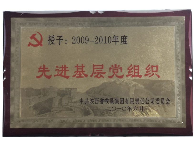 先进基层党组织