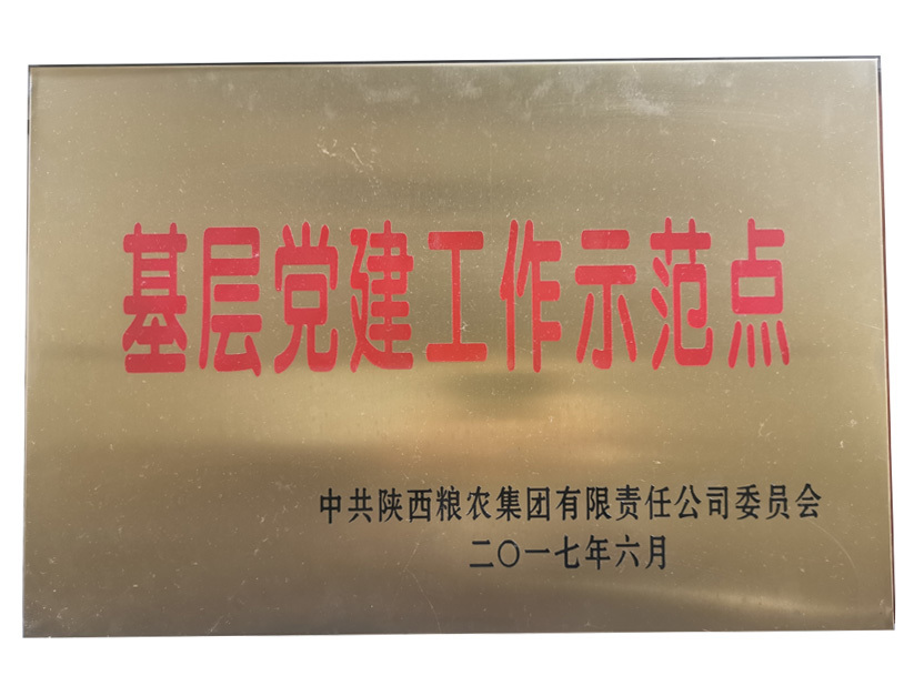 基层党建工作示范点