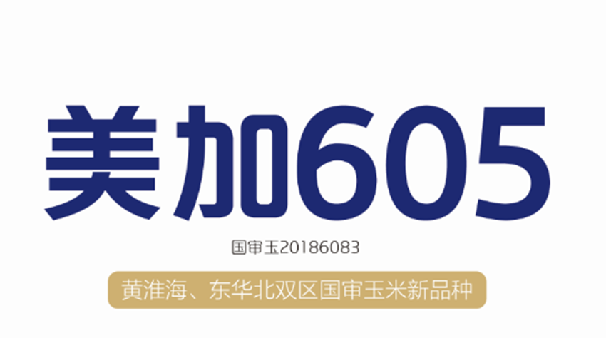 美加605