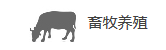 畜牧養(yǎng)殖