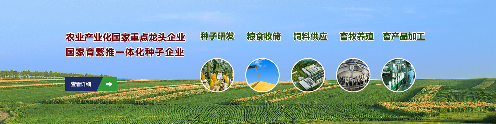 中地種業(yè)