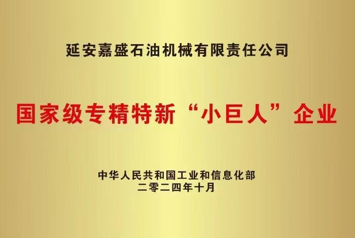 国家级专精特新小巨人企业