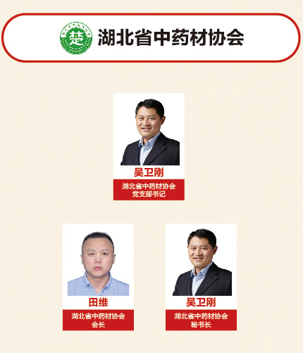 湖北省中药材协会