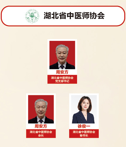 湖北省中医师协会