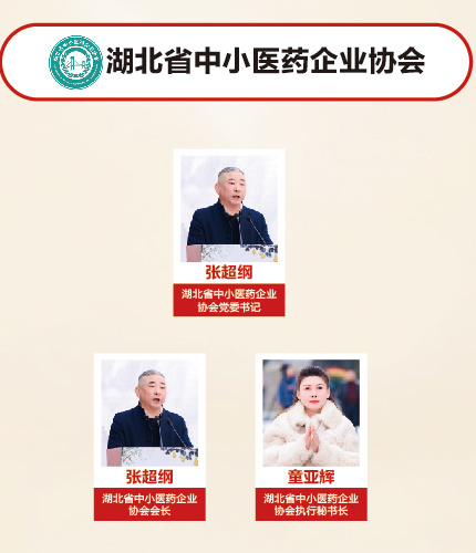 湖北省中小医药企业协会