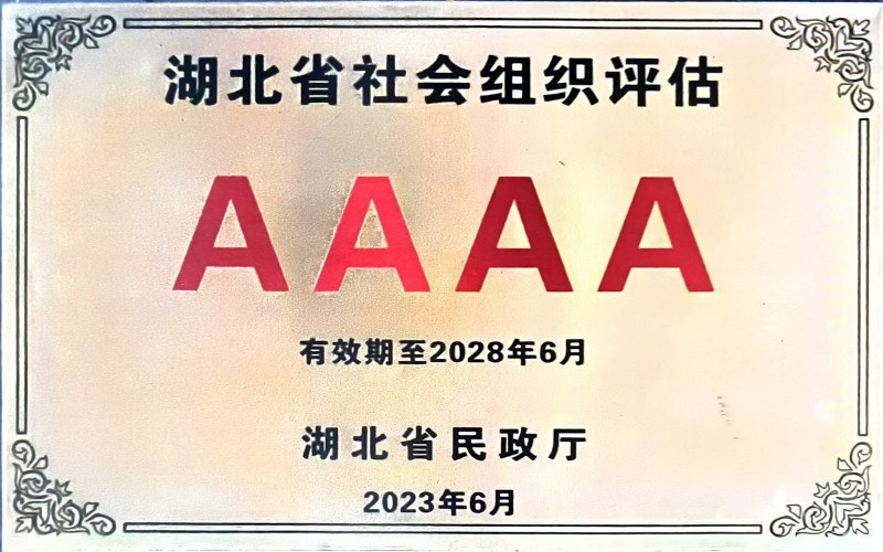 湖北省社会组织评估