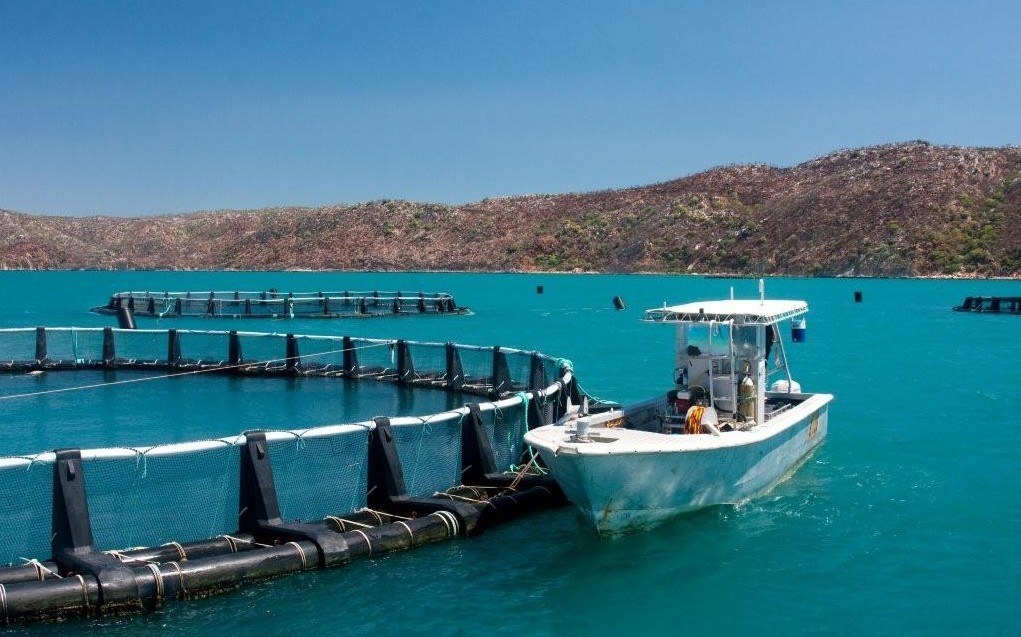 Intelligent deep-sea aquaculture cage monitoring system