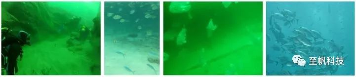 Why does the sea look Teal? 90% of people don t know