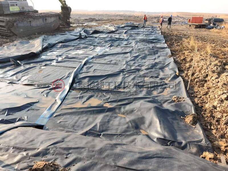 崇明北沿湿地互花米草综合防治工程