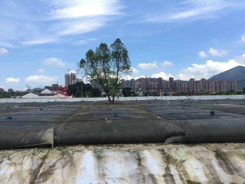溫州三洋濕地生態(tài)公園清淤工程