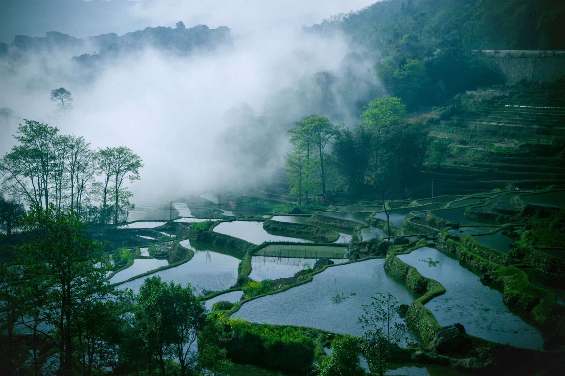 Jialongji East Terraces