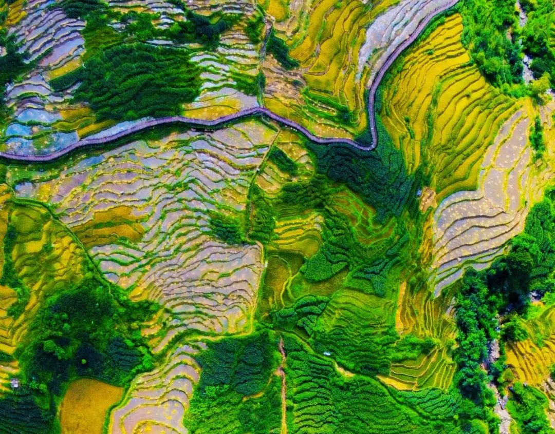 Honghe｜Hani Terraces