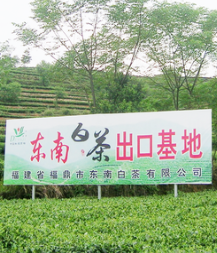 Fuding Dongnan Duoqi Tea Industry Co., Ltd.