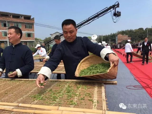 dongnan