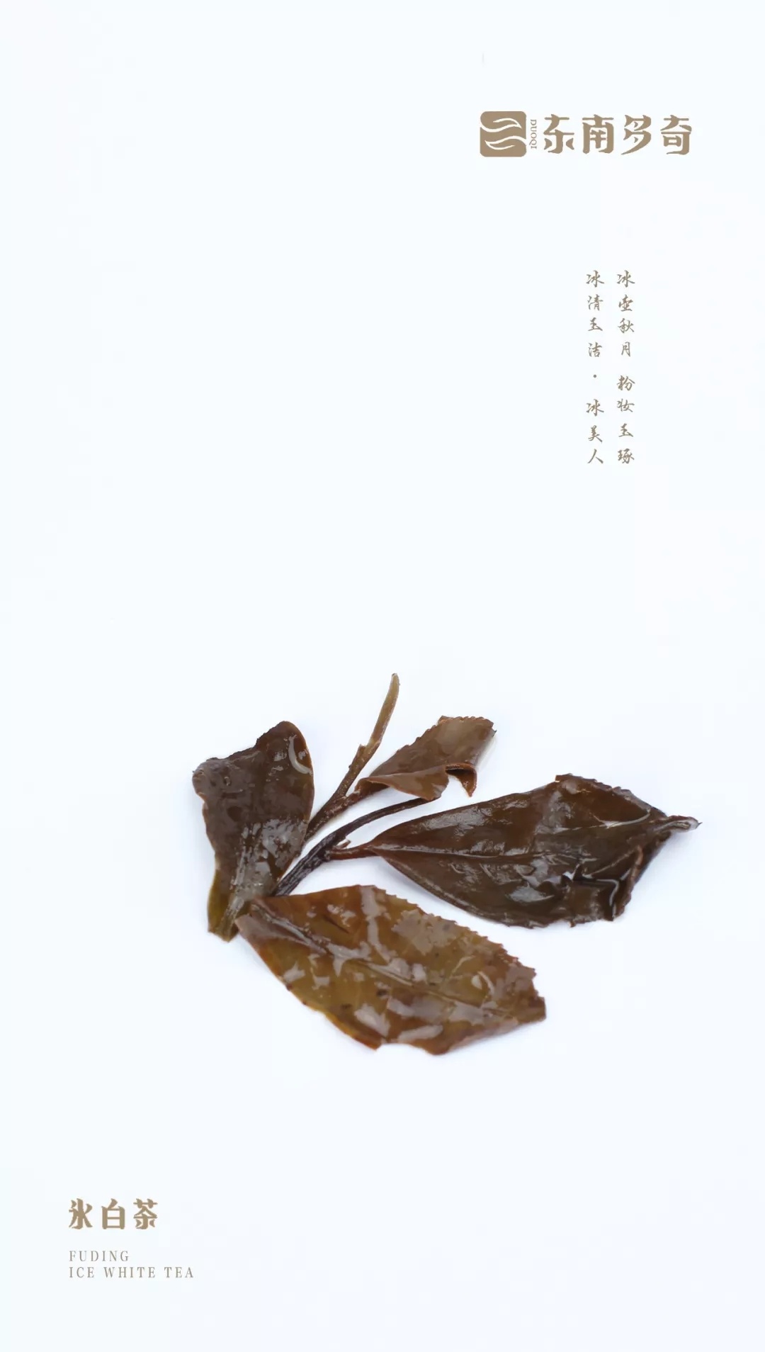 dongnan