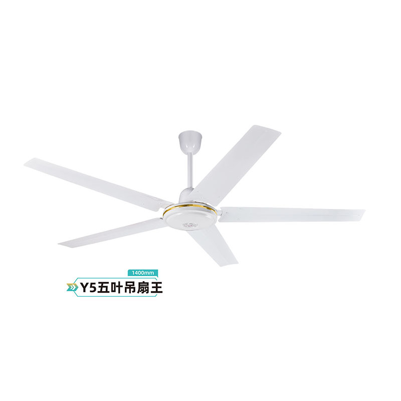 Y5五叶吊扇王