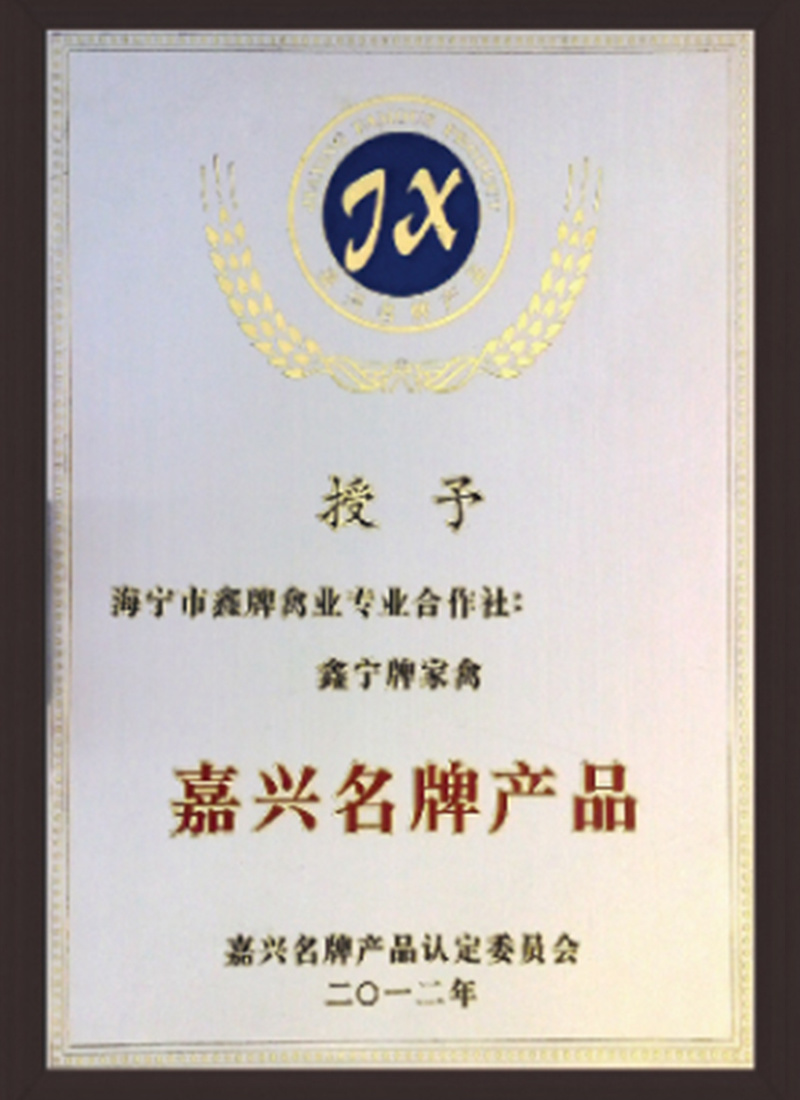 企业荣誉11