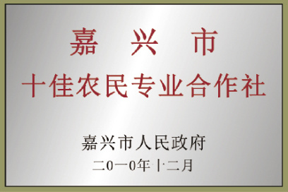 企业荣誉5
