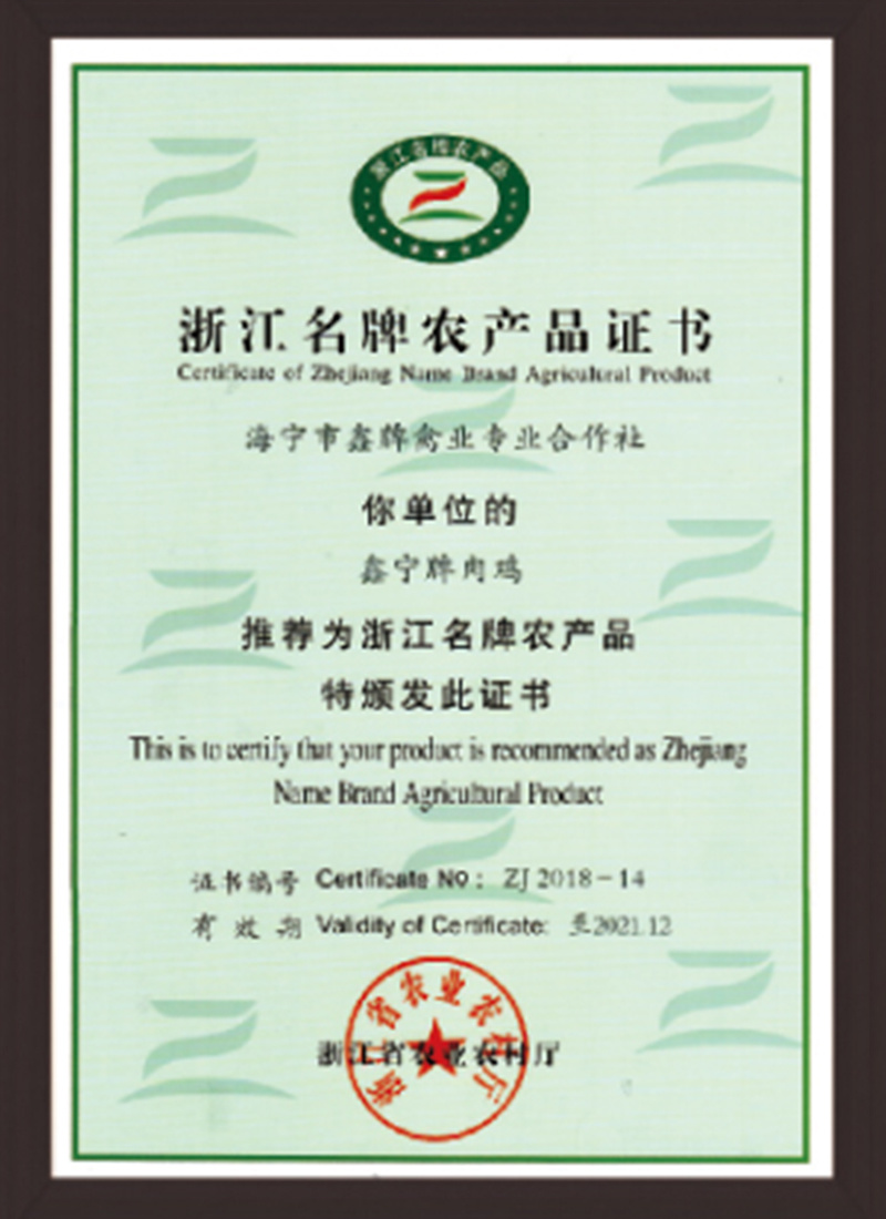 企业荣誉13