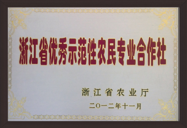 企业荣誉4