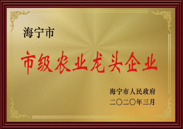 企业荣誉