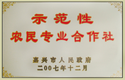 企业荣誉7