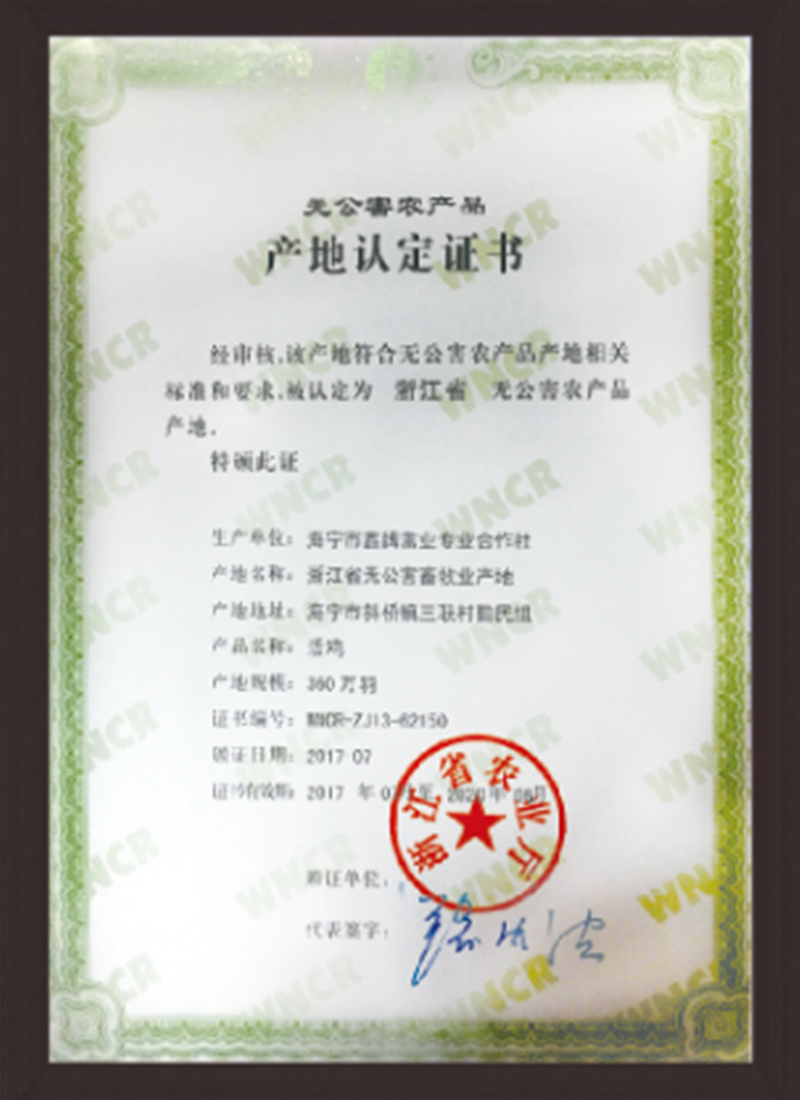 企业荣誉12