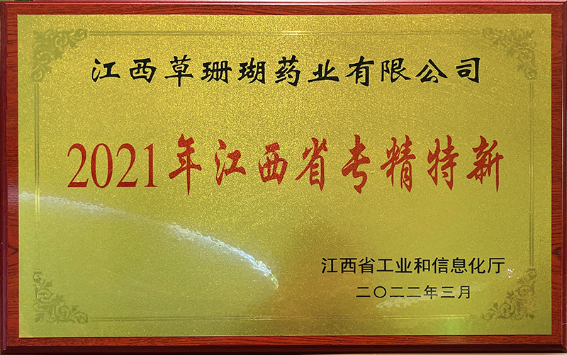 2021年江西省专精特新 2021年江西省专精特新